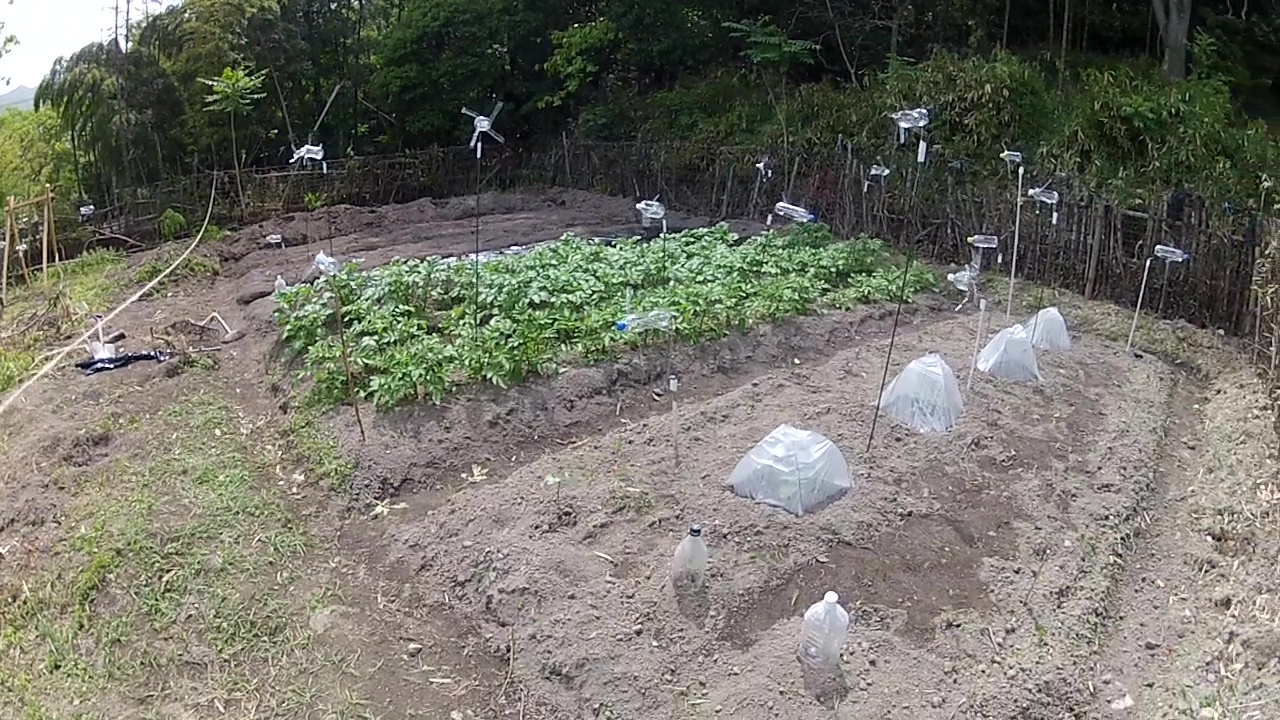 【初心者向け】家庭菜園の始め方完全ガイド｜失敗しにくいおすすめ野菜10選と必要な道具